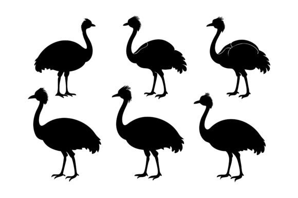 Cassowary Silhouette Icon Vector Bundle: A Versatile Design Resource for Modern Creators