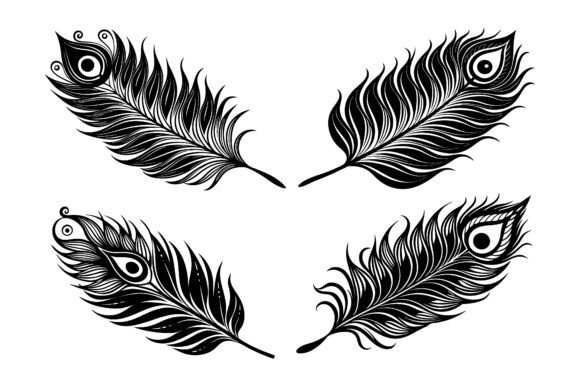Peacock Feather Silhouette Icon Bundle